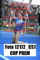 12172_CS1-CUP-PREM