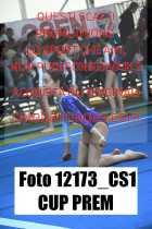 12173_CS1-CUP-PREM