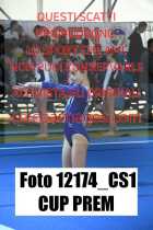 12174_CS1-CUP-PREM