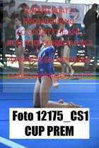 12175_CS1-CUP-PREM