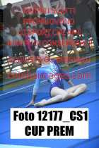 12177_CS1-CUP-PREM
