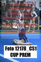 12178_CS1-CUP-PREM