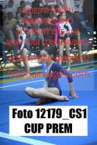 12179_CS1-CUP-PREM