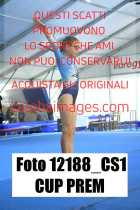 12188_CS1-CUP-PREM