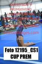12195_CS1-CUP-PREM