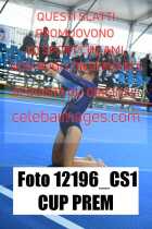 12196_CS1-CUP-PREM