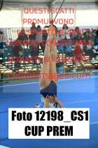 12198_CS1-CUP-PREM