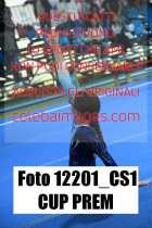 12201_CS1-CUP-PREM