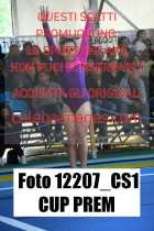 12207_CS1-CUP-PREM