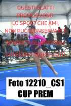 12210_CS1-CUP-PREM