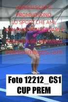 12212_CS1-CUP-PREM