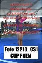 12213_CS1-CUP-PREM