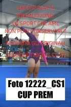 12222_CS1-CUP-PREM