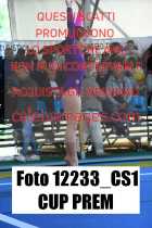 12233_CS1-CUP-PREM