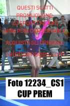 12234_CS1-CUP-PREM