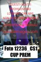 12236_CS1-CUP-PREM