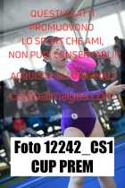 12242_CS1-CUP-PREM