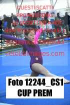 12244_CS1-CUP-PREM