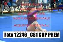 12246_CS1-CUP-PREM