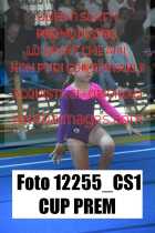 12255_CS1-CUP-PREM