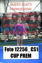 12256_CS1-CUP-PREM