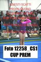 12258_CS1-CUP-PREM