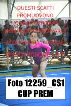 12259_CS1-CUP-PREM