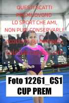12261_CS1-CUP-PREM
