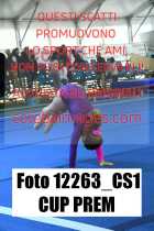 12263_CS1-CUP-PREM