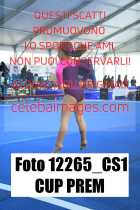 12265_CS1-CUP-PREM