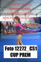 12272_CS1-CUP-PREM