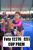 12276_CS1-CUP-PREM