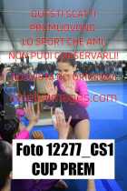 12277_CS1-CUP-PREM