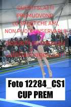 12284_CS1-CUP-PREM