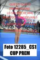 12285_CS1-CUP-PREM