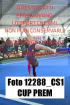 12288_CS1-CUP-PREM