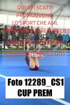 12289_CS1-CUP-PREM