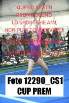 12290_CS1-CUP-PREM