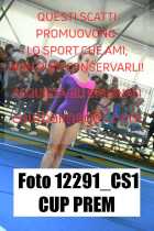 12291_CS1-CUP-PREM
