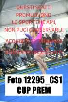 12295_CS1-CUP-PREM
