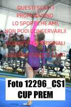 12296_CS1-CUP-PREM