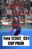 12302_CS1-CUP-PREM