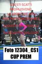 12304_CS1-CUP-PREM