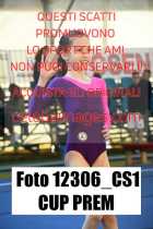 12306_CS1-CUP-PREM