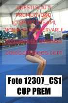 12307_CS1-CUP-PREM