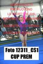 12311_CS1-CUP-PREM