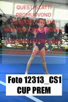 12313_CS1-CUP-PREM