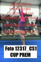 12317_CS1-CUP-PREM