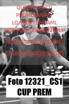 12321_CS1-CUP-PREM