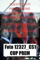 12327_CS1-CUP-PREM